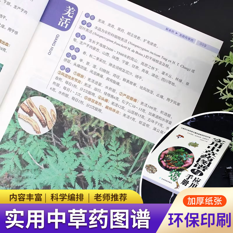 Wellness Herbal Medicine - แผนภูมิสมุนไพรและคู่มือฉบับใช้งานได้จริง: คอลเลกชันการแพทย์แผนจีนครบวงจร พร้อมคู่มืออาการ และเคล็ดลับเพื่อสุขภาพที่ดี