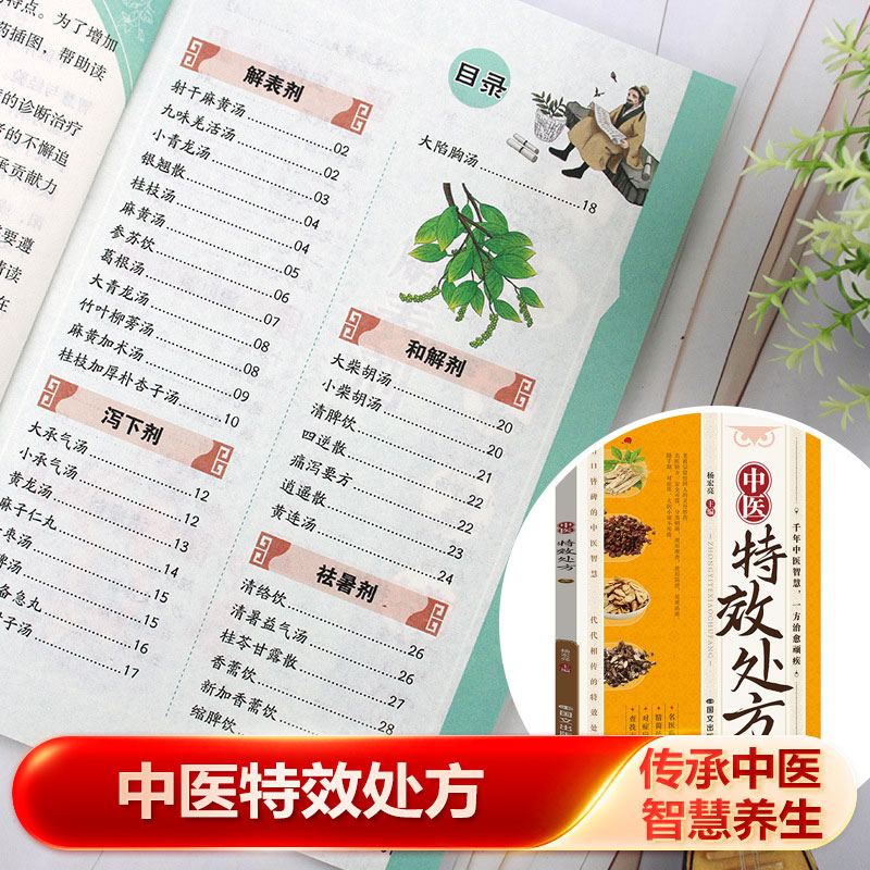 Wellness Herbal Medicine - ชุดรวมยาสมุนไพรจีนแผนโบราณที่มีประสิทธิภาพ | คู่มือสูตรยาจีนแผนโบราณ | หนังสือสุขภาพสมุนไพร