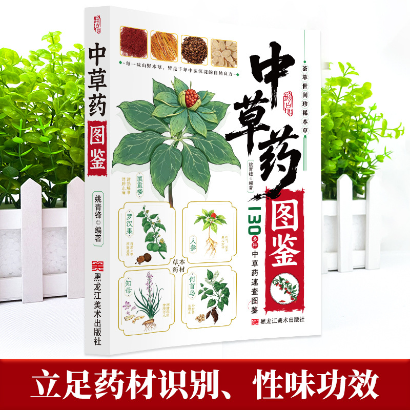 คู่มือภาพประกอบ สมุนไพรจีน 130 - Wellness Herbal Medicine บทวิจารณ์และราคา
