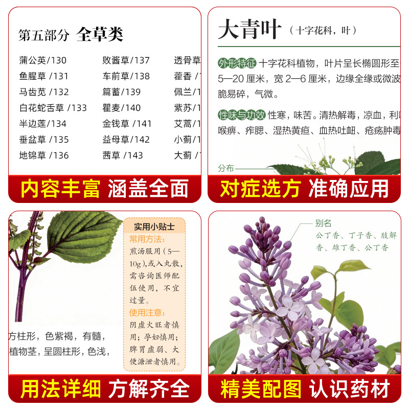 คู่มือภาพประกอบ สมุนไพรจีน 130 - Wellness Herbal Medicine บทวิจารณ์และราคา